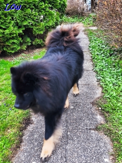 30.3.2025 - Howard marschiert Richtung April